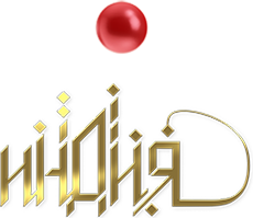 Индия (576p) logo