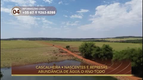 Brazil free live TV