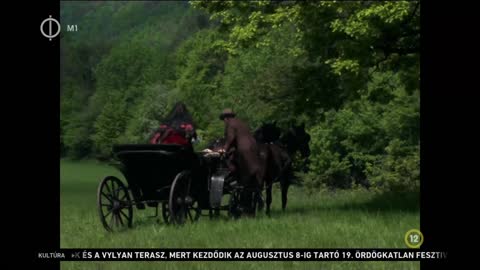 Hungary free live TV