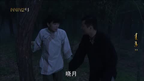 China free live TV