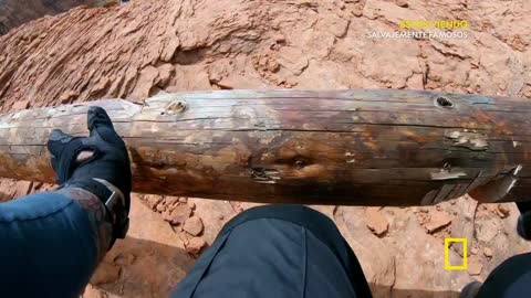 National Geographic Latin America live TV